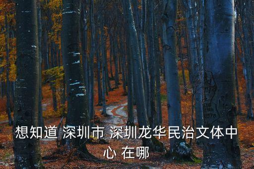 想知道 深圳市 深圳龍華民治文體中心 在哪
