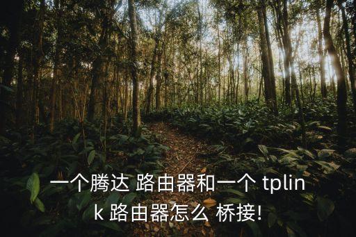 一個騰達 路由器和一個 tplink 路由器怎么 橋接!