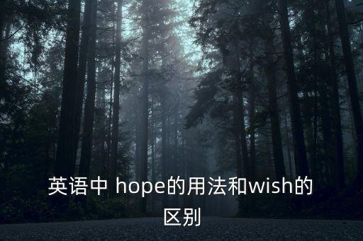 英語中 hope的用法和wish的區(qū)別