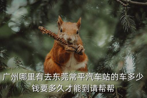 廣州省站到常平的汽車站時(shí)刻表，從廣州省站到常平的路線最早和最晚發(fā)車時(shí)間