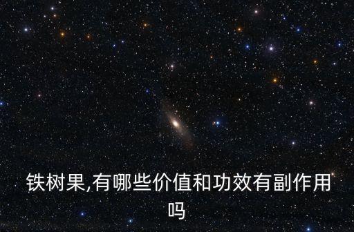 鐵樹果