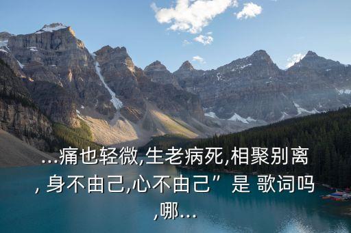 身不由己歌詞,情非得已身不由己歌詞