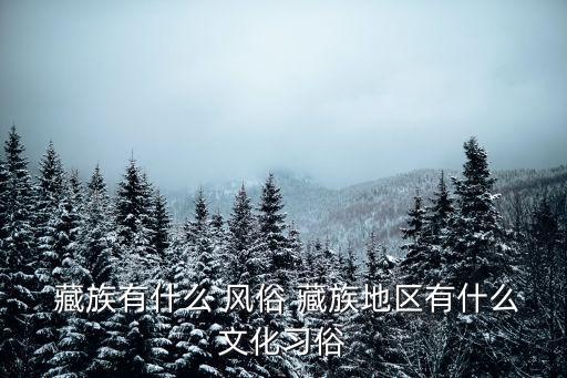 藏族的風俗,藏族的風俗習慣有哪些?