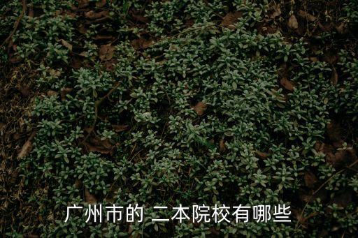 廣州市的 二本院校有哪些