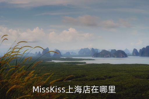 上海市仟絲緣地址，海城仟絲緣在什么位置誰能告訴我