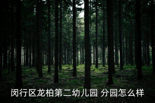 閔行區龍柏第二幼兒園 分園怎么樣
