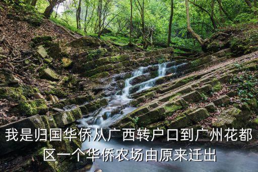廣州土地分割，我是歸國華僑從廣西轉(zhuǎn)戶口到廣州花都區(qū)一個(gè)華僑農(nóng)場由原來遷出