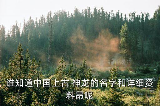 中國神龍
