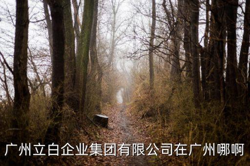 廣州立白企業集團有限公司在廣州哪啊