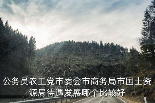 上海市商務(wù)委國土資源，上海市商務(wù)委員會是否屬于縣級
