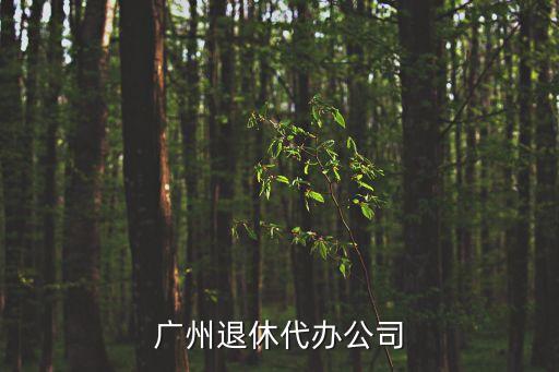 廣州退休代辦公司