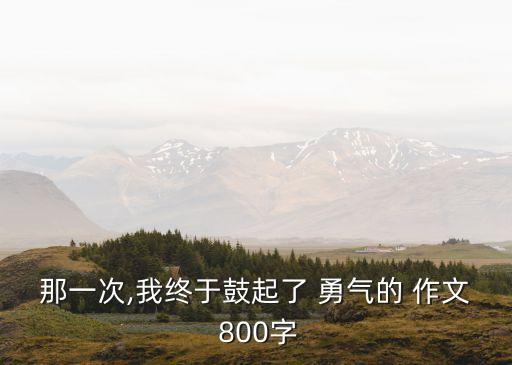 勇氣作文800字,不完美給我勇氣作文800字