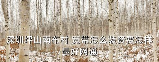 深圳坪山南布村 寬帶怎么裝資費(fèi)怎樣最好網(wǎng)通