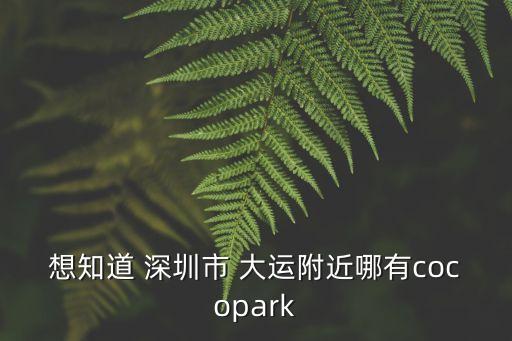想知道 深圳市 大運(yùn)附近哪有cocopark