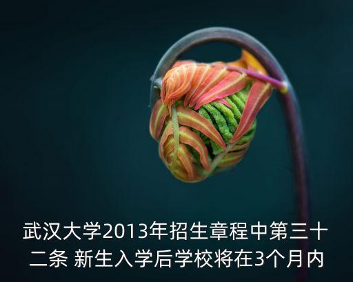 武漢大學(xué)深圳校友會(huì)章程，武漢大學(xué)武漢校友會(huì)專修學(xué)院