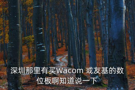 深圳wacom數位板專賣店，深圳哪里有wacom數位板專賣店