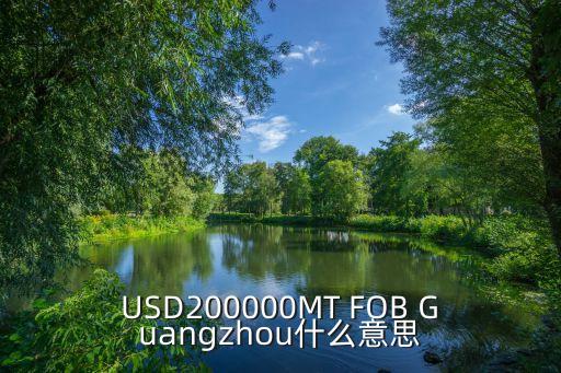 USD200000MT FOB Guangzhou什么意思