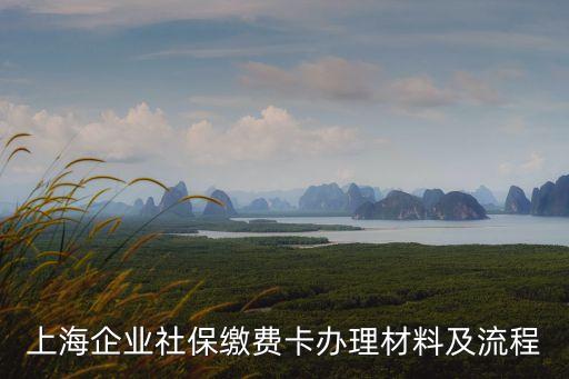 上海市辦社保卡需要哪些材料，在上海辦理社保需要準備什么材料
