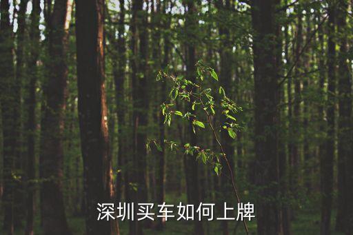 深圳買車如何上牌
