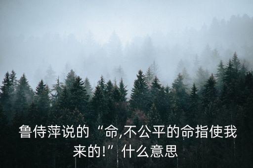  魯侍萍說的“命,不公平的命指使我來的!”什么意思