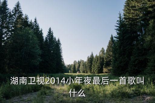 廣州人和水長流，湖南衛視2014小年夜最后一首歌叫什么