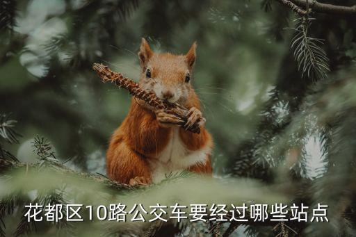 花都區(qū)10路公交車要經(jīng)過哪些站點
