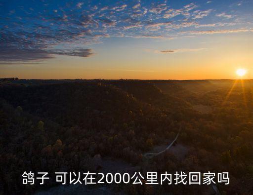 鴿子 可以在2000公里內找回家嗎