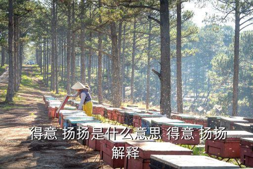 得意揚揚的意思,得意洋洋的意思