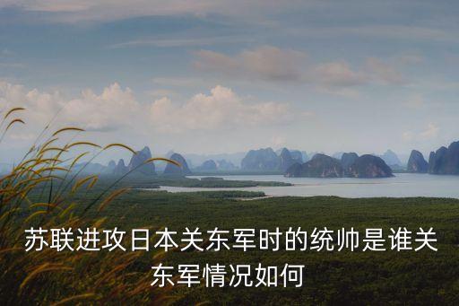 蘇聯(lián)對(duì)日宣戰(zhàn),二戰(zhàn)末,同盟國(guó)為爭(zhēng)取蘇聯(lián)對(duì)日宣戰(zhàn)