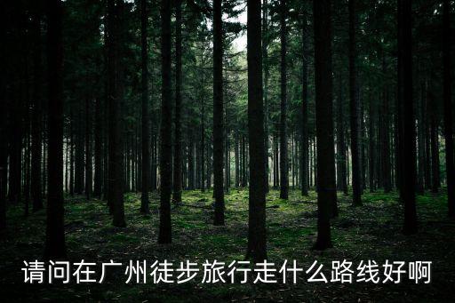 請問在廣州徒步旅行走什么路線好啊