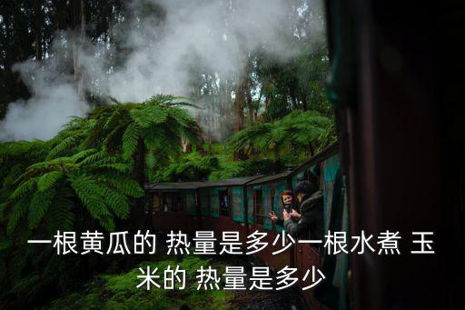 一根黃瓜的 熱量是多少一根水煮 玉米的 熱量是多少