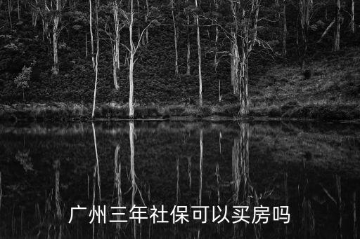 廣州搞三年個稅后買房，廣州補交3年個人所得稅可否買房