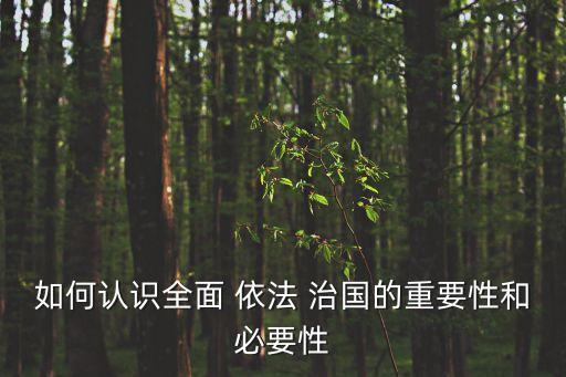 論全面依法治國,全面依法治國心得體會(huì)