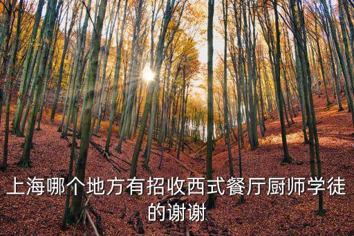 上海哪個地方有招收西式餐廳廚師學徒的謝謝