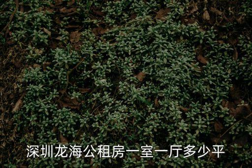 深圳龍海公租房一室一廳多少平