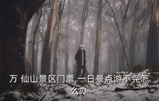 萬 仙山景區(qū)門票,一日景點(diǎn)游不完怎么辦