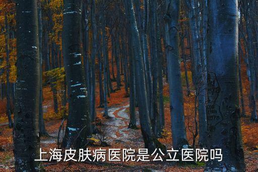 上海市皮膚病醫(yī)院是不是公立，上海市皮膚病性病醫(yī)院是公立醫(yī)院嗎