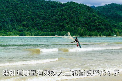 上海市賤疾三輪燃油車(chē)專買(mǎi)店，請(qǐng)問(wèn)在上海買(mǎi)三輪殘疾燃油摩托車(chē)在哪兒賣(mài)