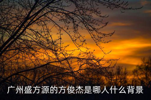 廣州蜜妝老板，廣州盛方源的方俊杰是哪人什么背景