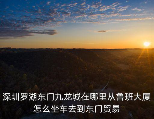 深圳步行街九龍城，深圳東門九龍城具體在哪里