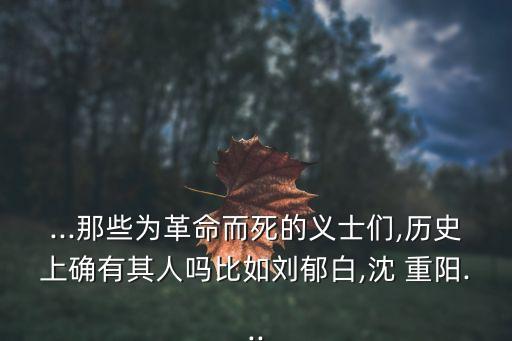 沈重陽,李玉堂母親病重李重光要帶孫兒回家