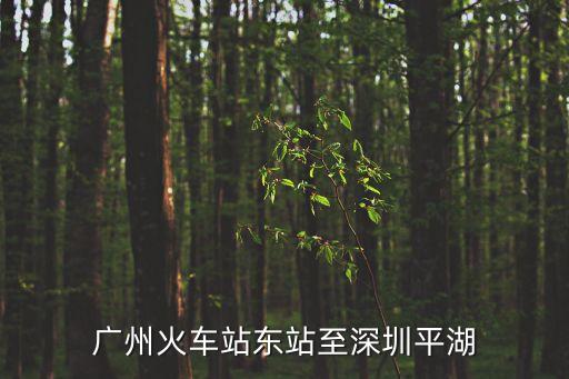 廣州火車站東站至深圳平湖