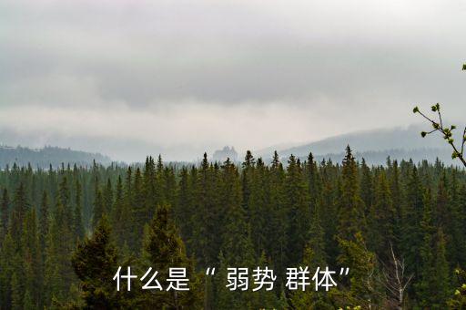 關注弱勢群體