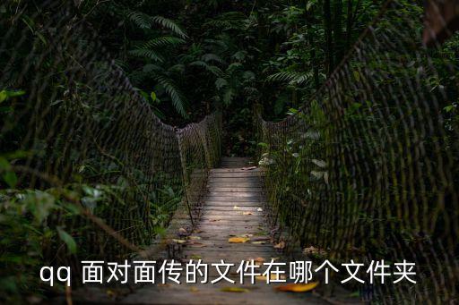 qq 面對(duì)面?zhèn)鞯奈募谀膫€(gè)文件夾