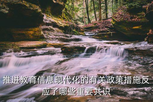 推進教育信息現代化的有關政策措施反應了哪些重要共識