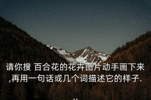 請你搜 百合花的花卉圖片動手畫下來,再用一句話或幾個詞描述它的樣子...