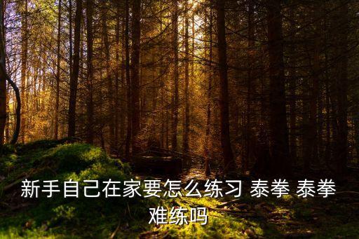 泰拳視頻,競技視頻大全泰拳王對抗賽實況