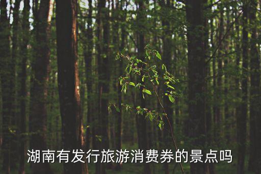 廣州石化總產值，湖南有發行旅游消費券的景點嗎