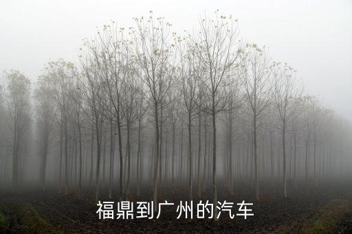 福鼎到廣州的汽車
