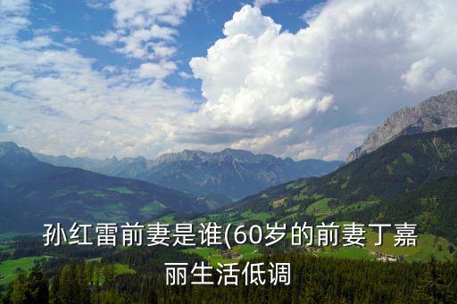 孫紅雷女友,曾是孫紅雷女友如今已不記得了
